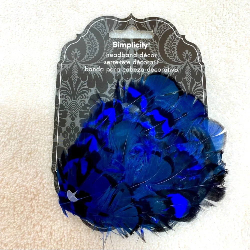 Simplicity Headband Decorative Feather Embellishment
